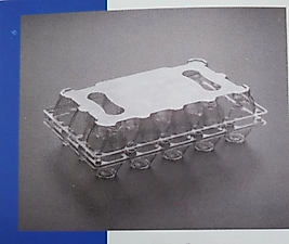 Plastik Yumurta Kabı 15 Adet