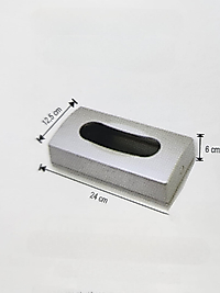 Mat Krom Kaplama ABS Plastik Mendil Kutusu