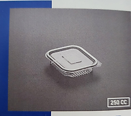 Plastik Kapaklı Ambalaj 250 CC