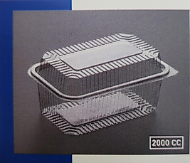 Plastik Kapaklı Ambalaj 2000 CC