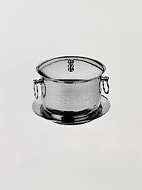 Termoslu Buz Kovası